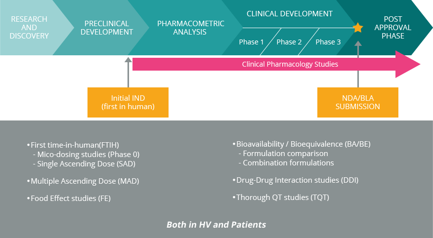 [ Early Phase Clinical Trial Operation & Management Services ]