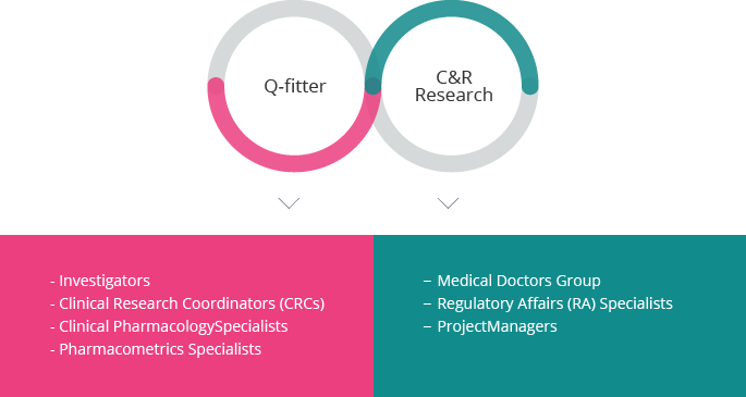 [ Organic collaboration between C&R Research & Q-fitter ]