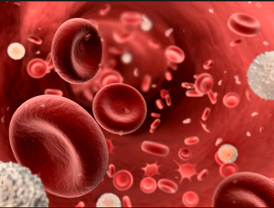 AbClon Signs Agreement With Contract Research Organization (CRO) For Blood Cancer CAR-T Treatment