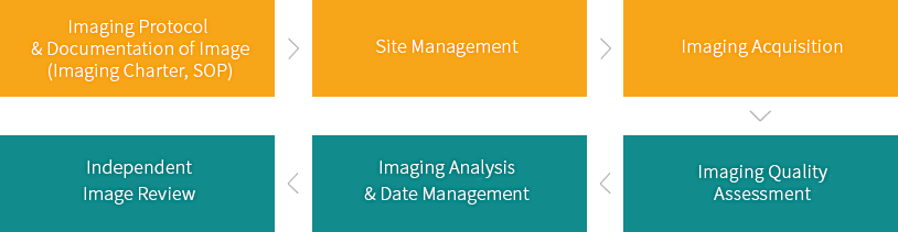 Imaging-Core-Lab-Service_process